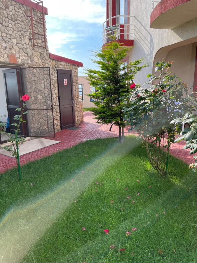 Vila Julia Costinesti Exterior photo